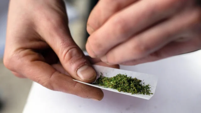 consumo normalizado de cannabis