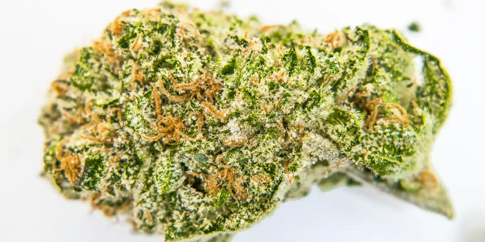 qué es el THC
